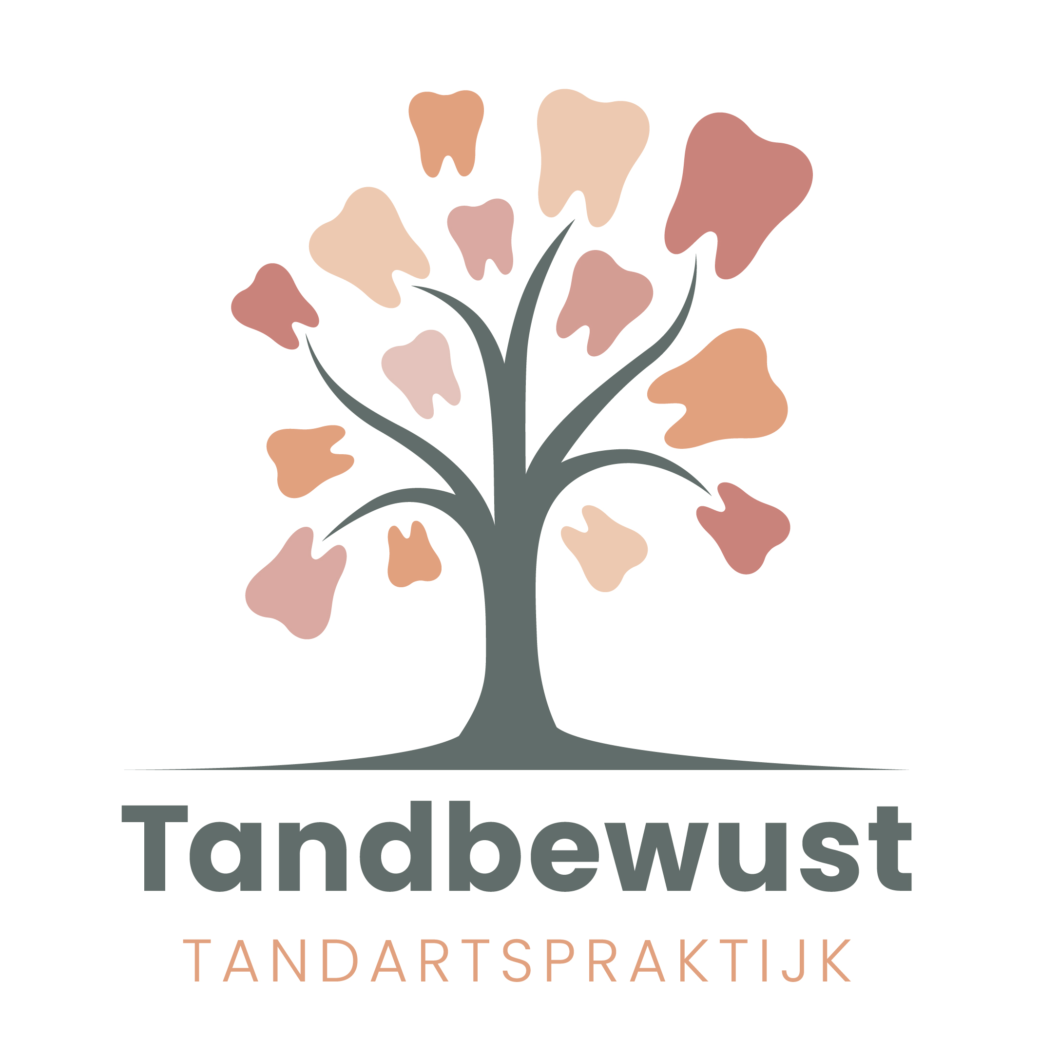 Tandartspraktijk Tandbewust